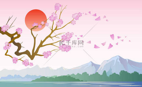 日本花樱在山矢量插图的背景。日本光壁纸与花樱花. 
