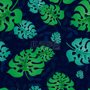 巴西植物背景图片_模式与热带 Leaves3-01
