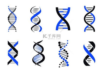 DNA 螺旋图案彩色矢量插图隔离在白色背景上，蓝色和黑色盘绕在 DNA 链、灵活的线条和许多圆圈周围。 