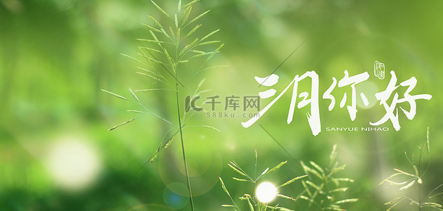 三月你好背景图片_三月你好植物绿色清新