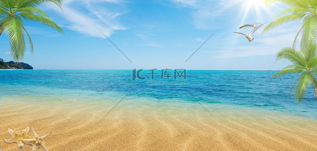大海椰子树背景图片_沙滩大海椰子树清新