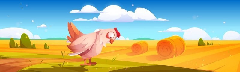 农田上的干草捆和绿草上的母鸡构成的乡村景观农村的矢量卡通插图农田里有圆形的小麦秸秆卷黄色的草垛和鸡肉田野上有干草捆和母鸡的乡村景观