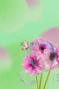 谷雨太阳菊蝴蝶绿色酸性弥散海报