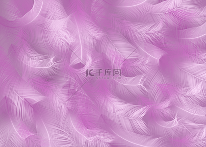 紫色羽毛鸟类羽毛背景