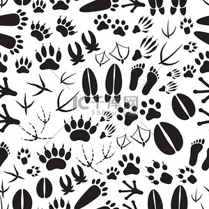 黑色和白色的动物脚印无缝模式 eps10