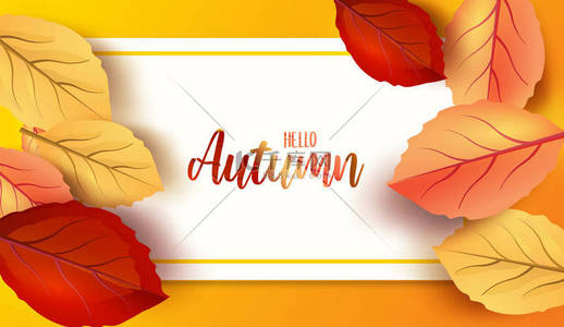 广告标题背景图片_抽象五颜六色的叶子装饰背景你好秋天广告标题或横幅设计。矢量插图.