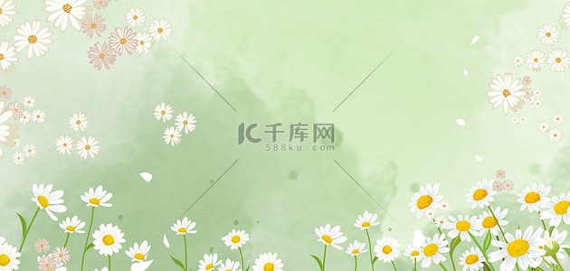 绿色雏菊背景图片_春天春季春分雏菊绿色清新