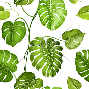 纹理无缝隙背景图片_外用的棕榈叶.