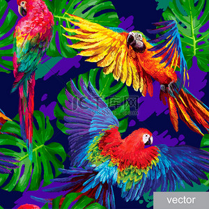 热带鹦鹉背景图片_模式与热带鹦鹉和龟背竹叶子