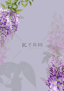 海报花粉色背景图片_紫藤兰花卉水彩叶植物背景