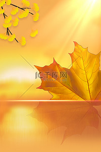 秋天树叶黄色简约背景