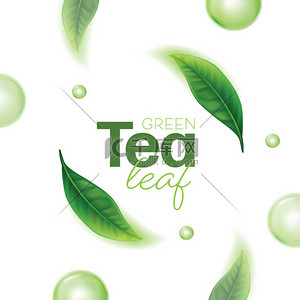 现实的绿茶为广告海报留下了背景.矢量说明