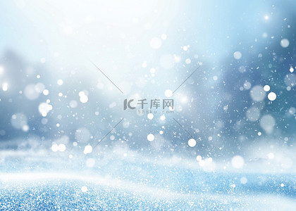 蓝色下雪天空背景图片_冬季冷杉松树林冰雪圣诞背景
