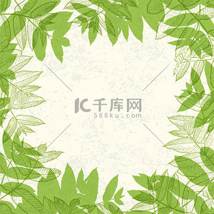 square背景图片_Green leaves frame on paper texture. Vector illustration, EPS10.