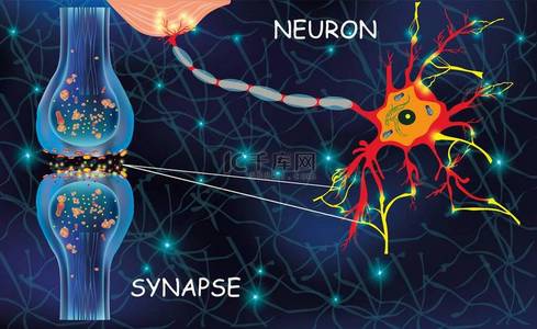 信号发射背景图片_解剖学上的克隆细胞 生物机体中脉冲信号的传输. 大脑中的信号。 大脑中的神经连接形成了思想，概念学习。 教育的尼龙结构