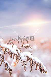 冬季雪景摄影