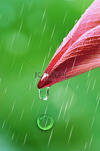 雨水荷花绿色文艺雨水海报