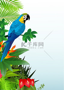 高兴背景图片_在热带森林中的金刚鹦鹉鸟