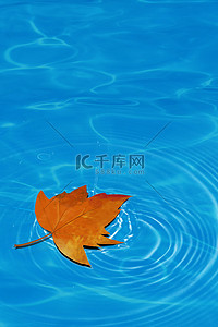 枫叶立秋背景图片_处暑枫叶蓝色水面 水波纹