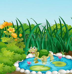 在开池塘中的一只乌龟