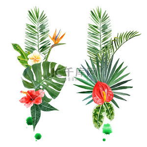 炫酷背景背景图片_水彩的热带植物，为你的设计的