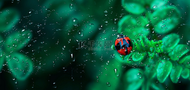 节气简约背景图片_惊蛰绿植昆虫绿色简约背景