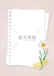 白色叶背景图片_花卉金线边框白色花朵纸张背景