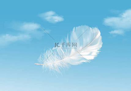 蓝天背景图片_漂浮的白色羽毛的向量例证在蓝天背景