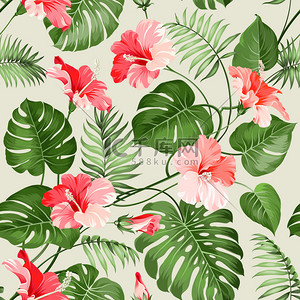 热带花卉背景背景图片_无缝的热带图案.