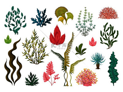 海藻水下海洋植物海洋珊瑚元素手绘海洋茂盛的藻类