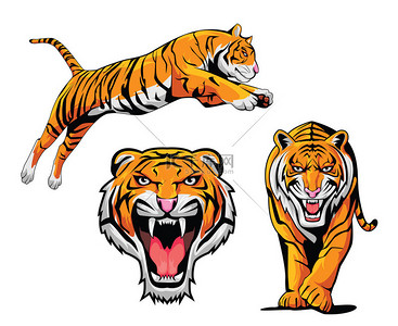 set背景图片_Tiger Illustration Set