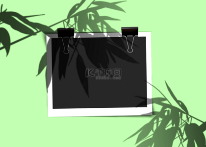 扁平文字框背景图片_绿色夹子相纸植物阴影背景