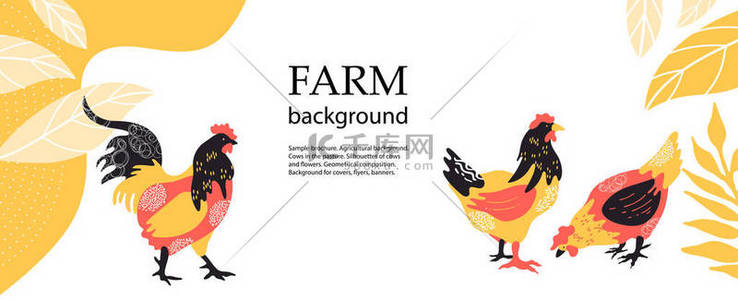 背景鸡背景图片_横向农业背景。鸡和鸡的侧写.