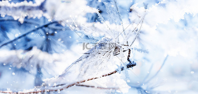 立冬小寒背景图片_冬天霜花雪花蓝白色清新雪景背景