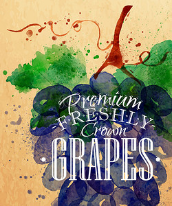 素食标志背景图片_Poster grapes