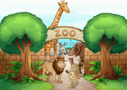 蓝色墙砖背景图片_动物园和动物