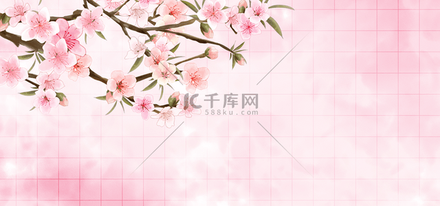 花卉粉色梅花水彩背景