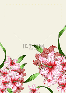 水彩百合花朵植物花卉背景