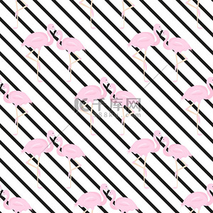 粉红色时尚背景背景图片_夫妇的火烈鸟对角线条纹