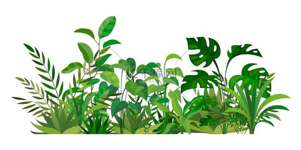 草本绿色装饰美丽的自然蕨类植物和草本植物有叶子和茎的热带绿色植物夏季树叶森林草甸植物独立的天然植物装饰矢量野外图草本绿色装饰美丽的自然蕨类植物和草本植物公司