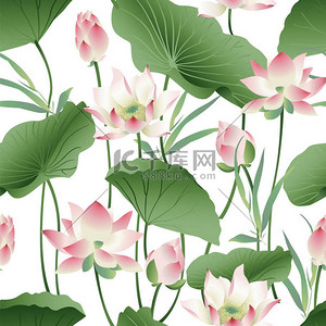 荷花矢量背景图片_矢量植物无缝模式与粉红色的荷花。背景设计打印.