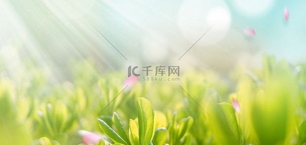 室外绿色背景图片_春游春景绿色文艺海报