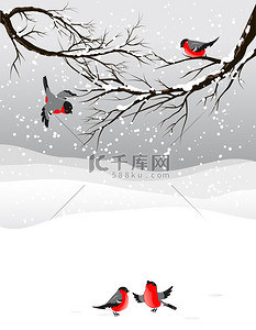 可爱雪花背景背景图片_冬天背景与鸟布尔芬奇