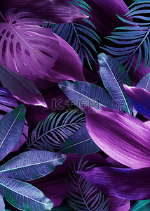 棕榈叶植物树叶紫色创意背景