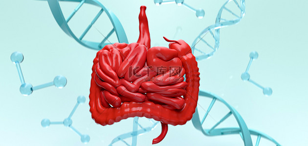 肠胃吸收好背景图片_肠胃医学3D概念场景