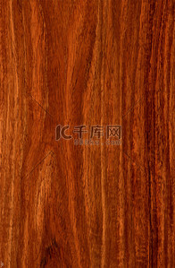 Realistic wood texture or background