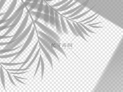 棕榈树叶阴影背景叠加方形窗口框架中的矢量树叶子在夏季旅行海滩或化妆品美容产品的透明背景上具有灯光效果的逼真模板棕榈叶阴影背景叠加矢量