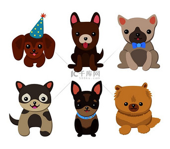 狗和小狗系列，带有宠物的海报，不同品种，哈巴狗和巴塞特猎犬，拉布拉多犬和吉娃娃犬，达克斯猎犬在矢量图上。