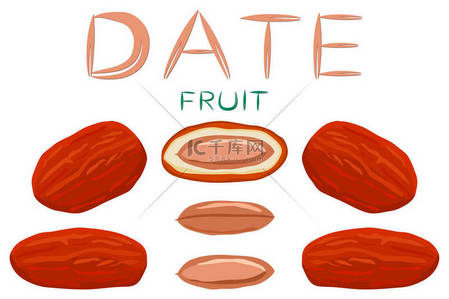 健康生活方式折页背景图片_插图的主题大彩色设置不同类型的日期水果的健康生活。日期水果模式包括在健康的生活方式收集配件。水果枣是象征健康的一餐.