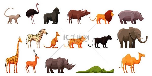 野生动物复古卡通收集平坦孤立的丛林和非洲野兽图像在空白背景矢量图上。